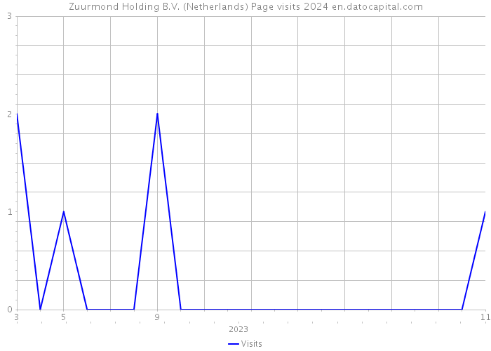 Zuurmond Holding B.V. (Netherlands) Page visits 2024 
