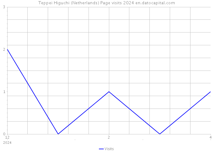Teppei Higuchi (Netherlands) Page visits 2024 