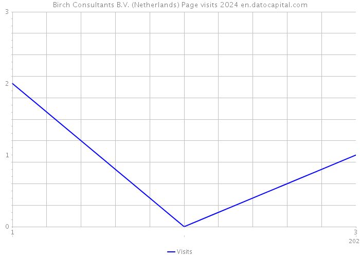 Birch Consultants B.V. (Netherlands) Page visits 2024 