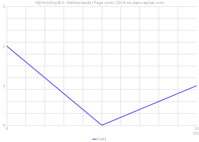 HJJ Holding B.V. (Netherlands) Page visits 2024 