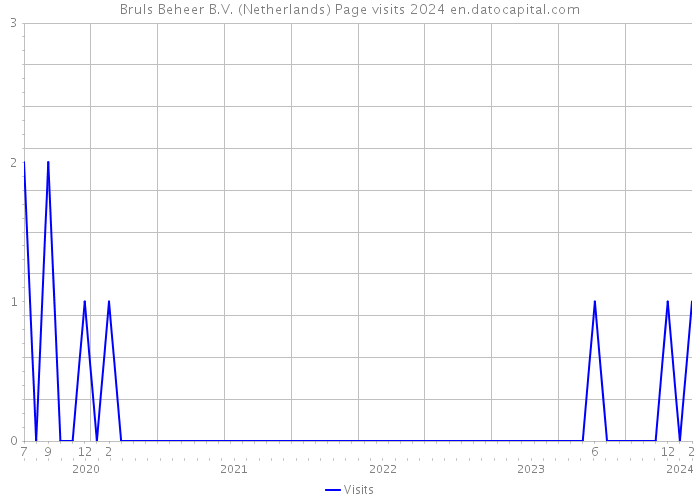 Bruls Beheer B.V. (Netherlands) Page visits 2024 