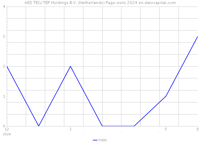 AES TEG/TEP Holdings B.V. (Netherlands) Page visits 2024 
