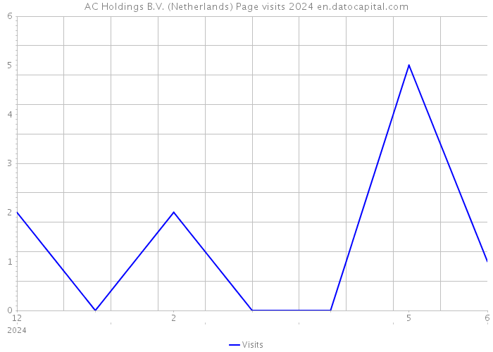 AC Holdings B.V. (Netherlands) Page visits 2024 