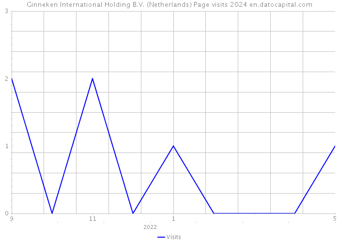 Ginneken International Holding B.V. (Netherlands) Page visits 2024 