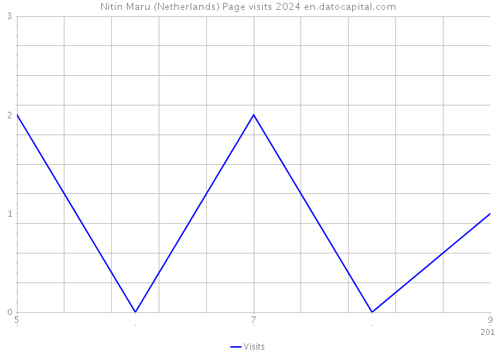 Nitin Maru (Netherlands) Page visits 2024 