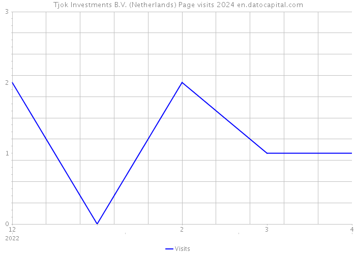 Tjok Investments B.V. (Netherlands) Page visits 2024 
