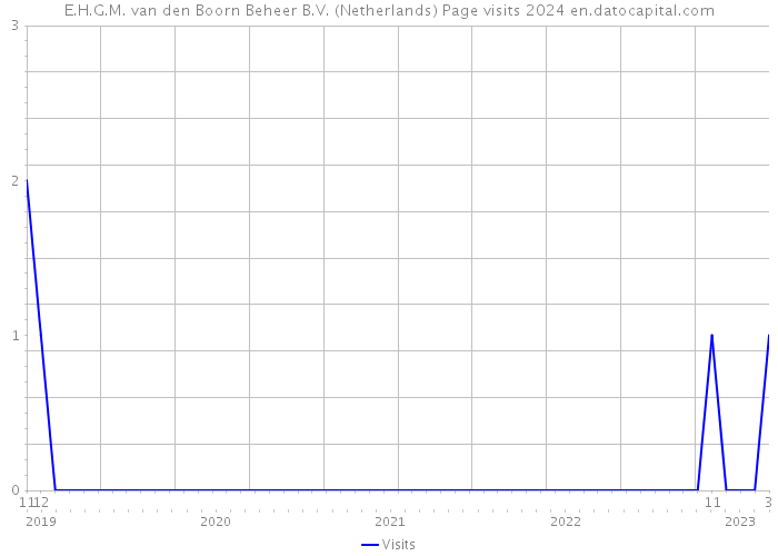 E.H.G.M. van den Boorn Beheer B.V. (Netherlands) Page visits 2024 
