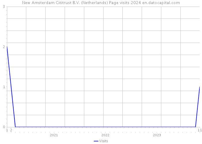 New Amsterdam Cititrust B.V. (Netherlands) Page visits 2024 