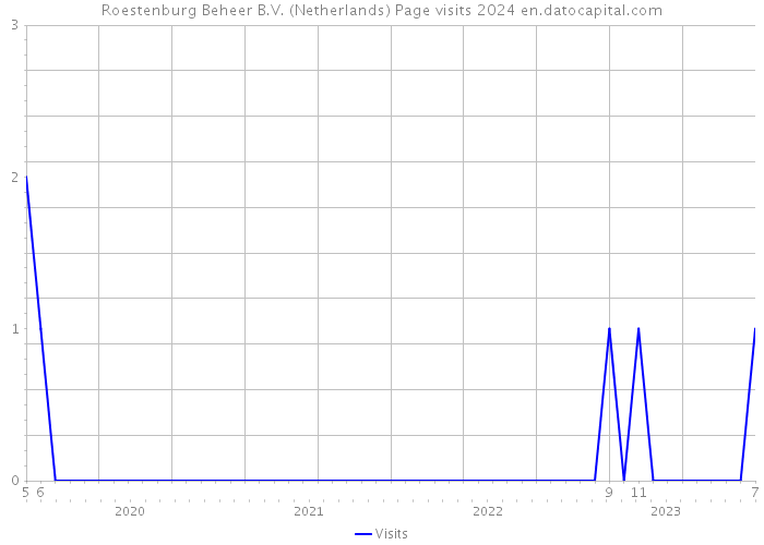 Roestenburg Beheer B.V. (Netherlands) Page visits 2024 
