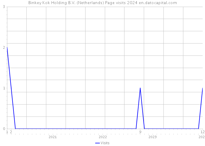 Binkey Kok Holding B.V. (Netherlands) Page visits 2024 