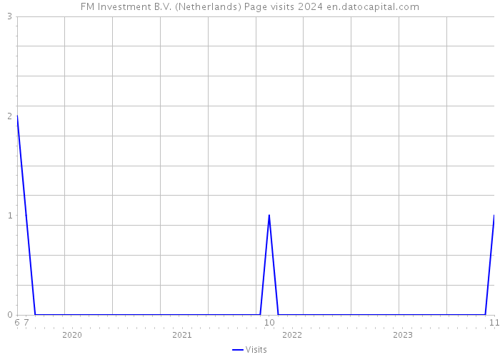 FM Investment B.V. (Netherlands) Page visits 2024 
