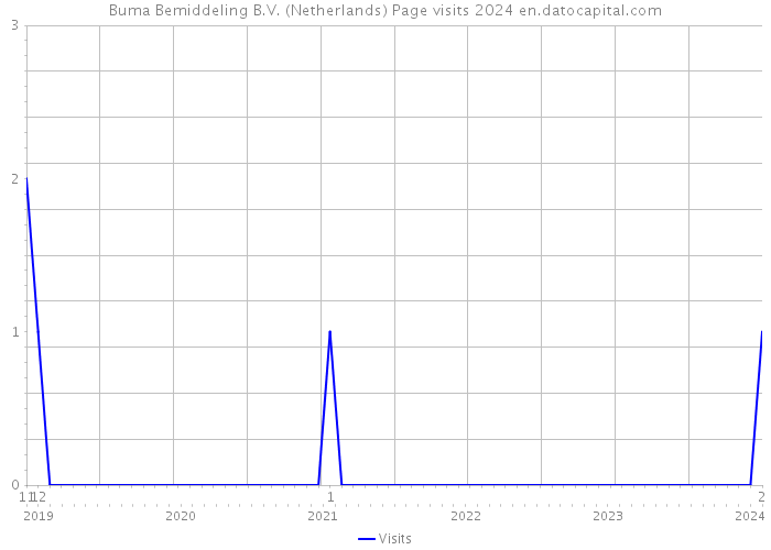 Buma Bemiddeling B.V. (Netherlands) Page visits 2024 