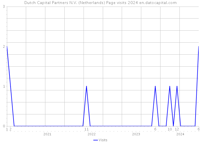 Dutch Capital Partners N.V. (Netherlands) Page visits 2024 
