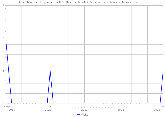 The New Tax Experience B.V. (Netherlands) Page visits 2024 