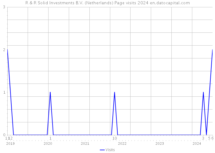 R & R Solid Investments B.V. (Netherlands) Page visits 2024 