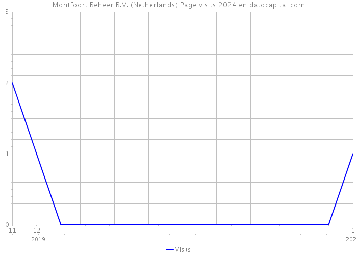 Montfoort Beheer B.V. (Netherlands) Page visits 2024 