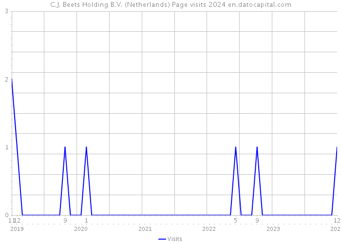 C.J. Beets Holding B.V. (Netherlands) Page visits 2024 