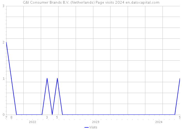 G&I Consumer Brands B.V. (Netherlands) Page visits 2024 