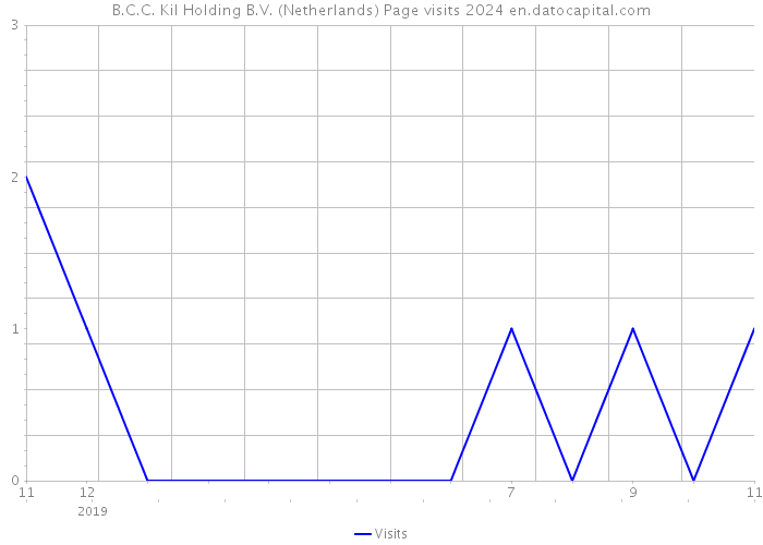 B.C.C. Kil Holding B.V. (Netherlands) Page visits 2024 