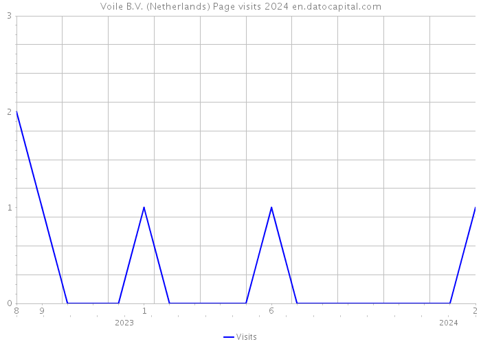 Voile B.V. (Netherlands) Page visits 2024 