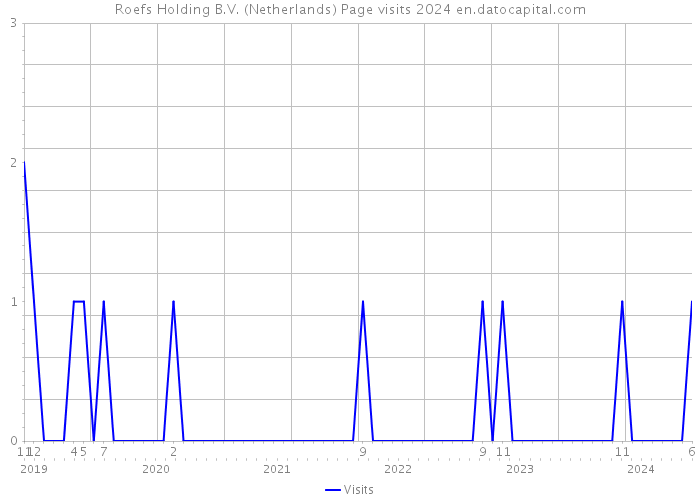 Roefs Holding B.V. (Netherlands) Page visits 2024 