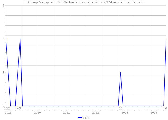 H. Groep Vastgoed B.V. (Netherlands) Page visits 2024 