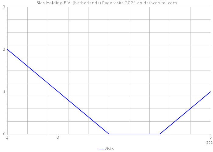 Blos Holding B.V. (Netherlands) Page visits 2024 
