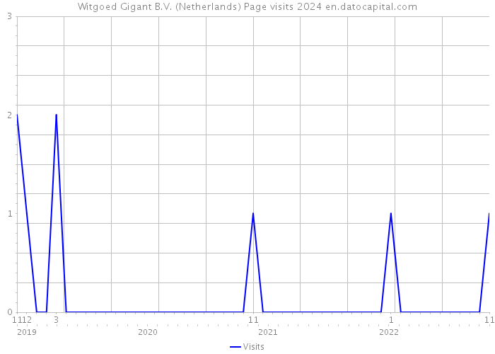 Witgoed Gigant B.V. (Netherlands) Page visits 2024 