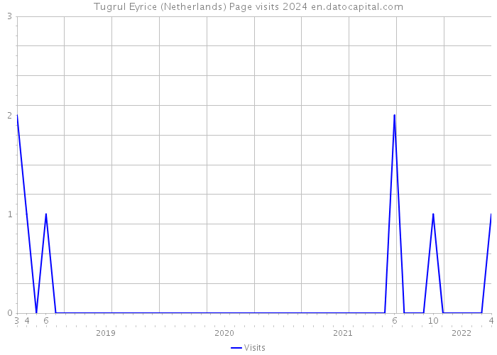 Tugrul Eyrice (Netherlands) Page visits 2024 