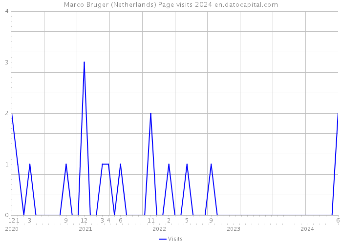 Marco Bruger (Netherlands) Page visits 2024 