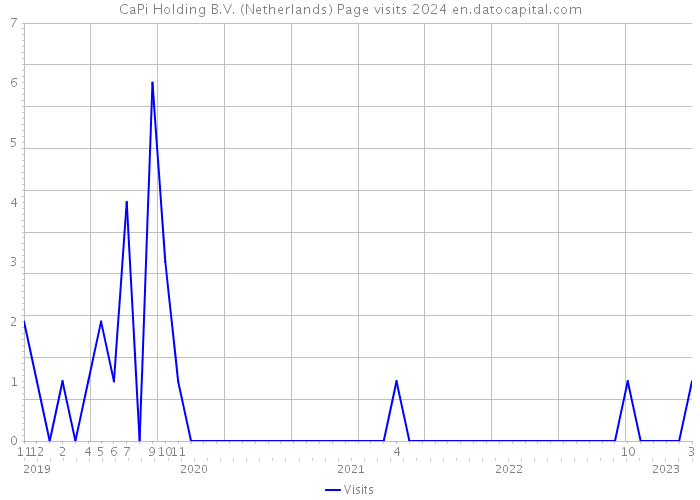 CaPi Holding B.V. (Netherlands) Page visits 2024 