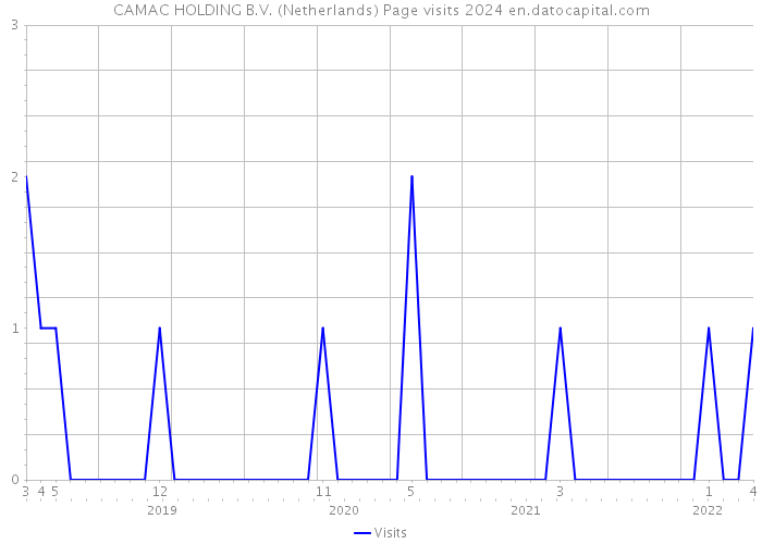 CAMAC HOLDING B.V. (Netherlands) Page visits 2024 