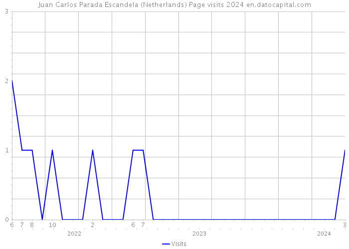 Juan Carlos Parada Escandela (Netherlands) Page visits 2024 
