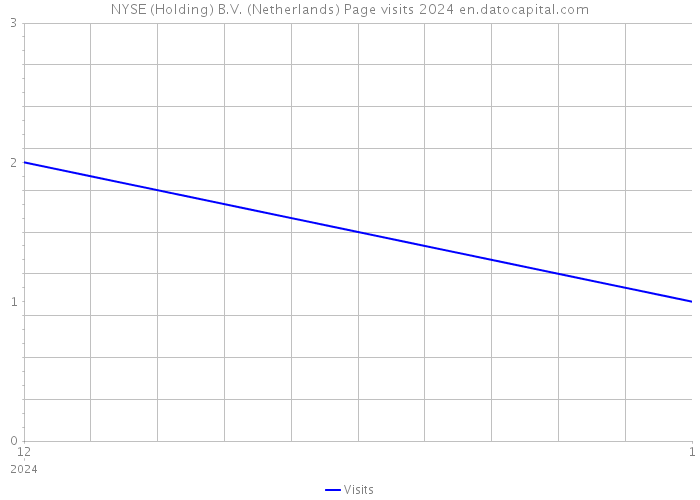 NYSE (Holding) B.V. (Netherlands) Page visits 2024 