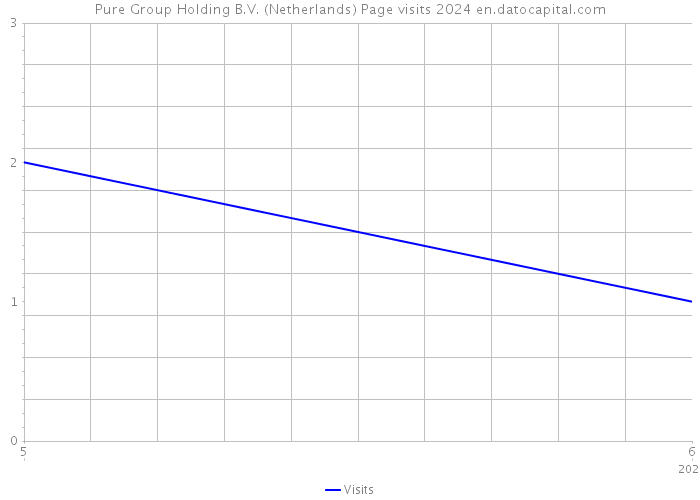 Pure Group Holding B.V. (Netherlands) Page visits 2024 
