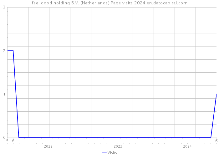 feel good holding B.V. (Netherlands) Page visits 2024 