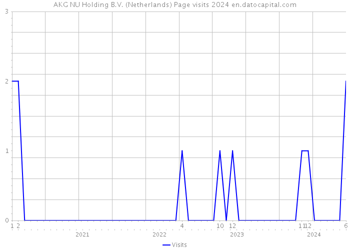 AKG NU Holding B.V. (Netherlands) Page visits 2024 