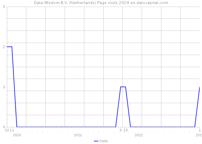 Data Wisdom B.V. (Netherlands) Page visits 2024 
