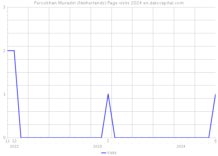 Ferozkhan Muradin (Netherlands) Page visits 2024 