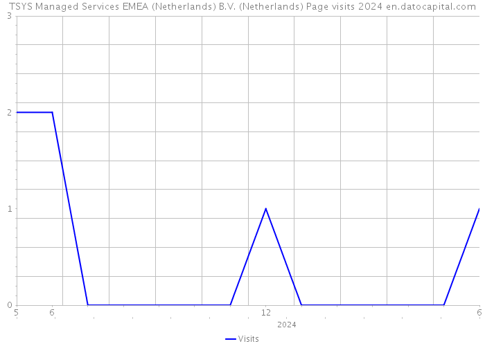 TSYS Managed Services EMEA (Netherlands) B.V. (Netherlands) Page visits 2024 