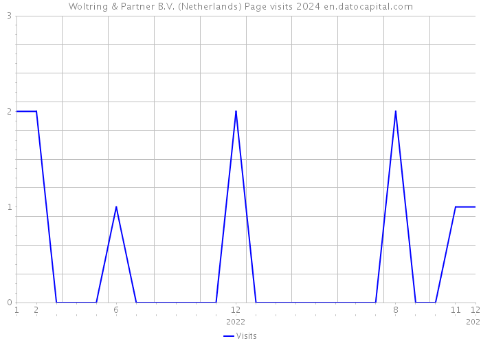 Woltring & Partner B.V. (Netherlands) Page visits 2024 