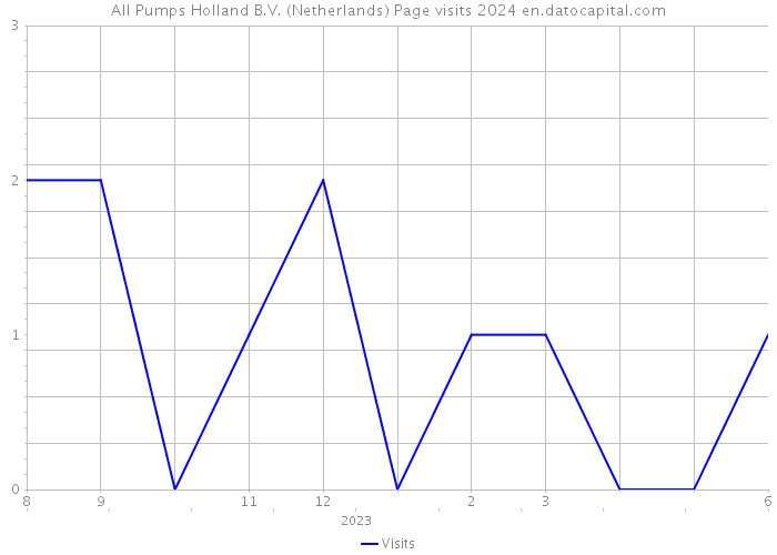 All Pumps Holland B.V. (Netherlands) Page visits 2024 