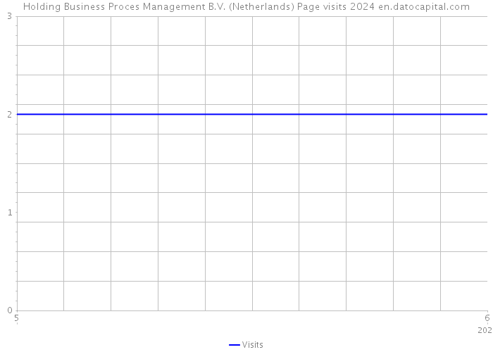 Holding Business Proces Management B.V. (Netherlands) Page visits 2024 