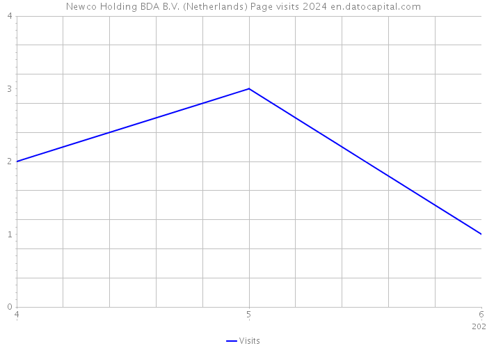 Newco Holding BDA B.V. (Netherlands) Page visits 2024 