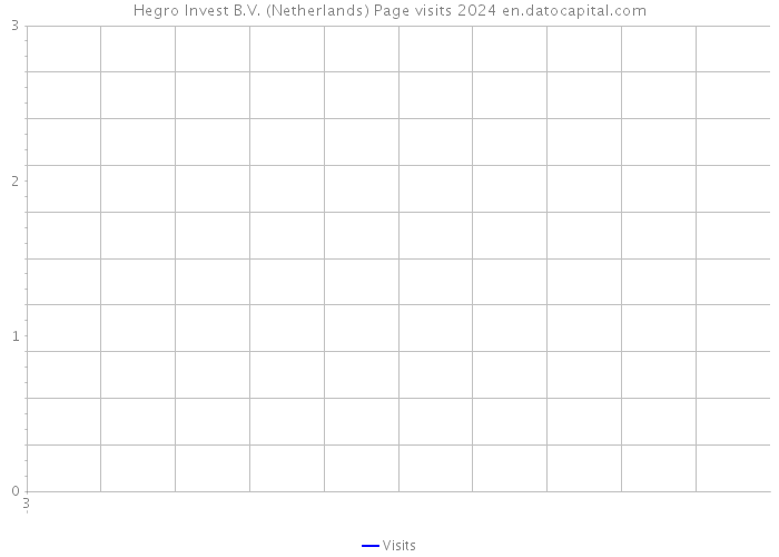 Hegro Invest B.V. (Netherlands) Page visits 2024 