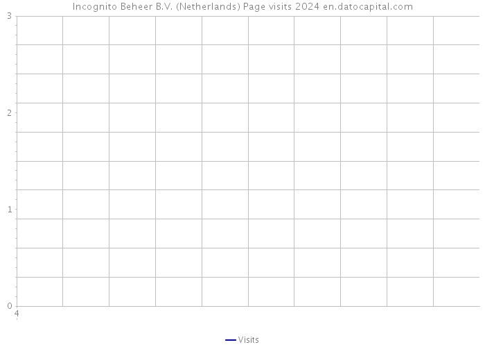 Incognito Beheer B.V. (Netherlands) Page visits 2024 