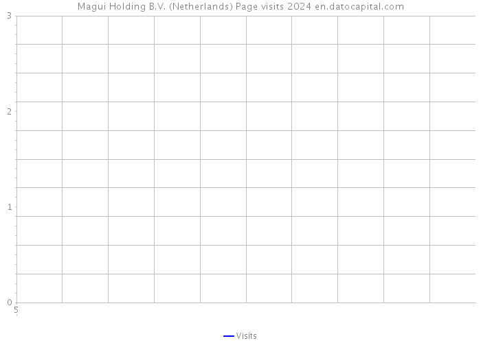 Magui Holding B.V. (Netherlands) Page visits 2024 