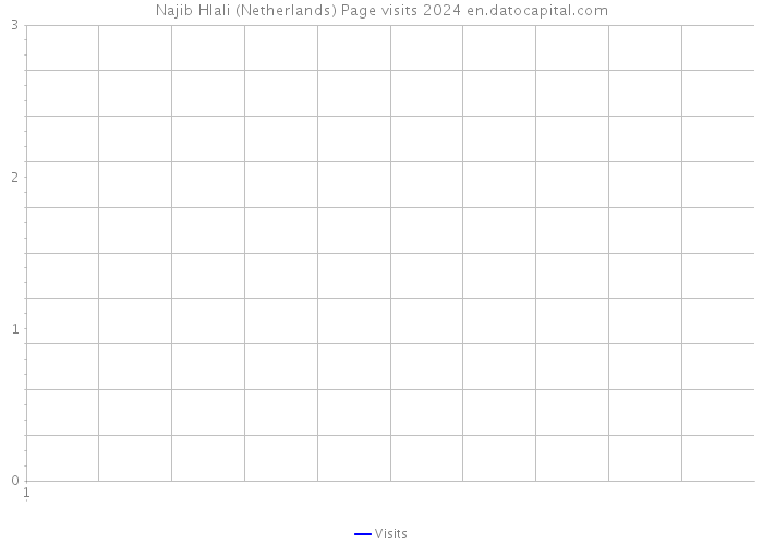 Najib Hlali (Netherlands) Page visits 2024 