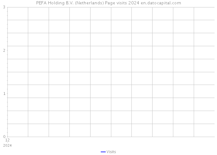 PEFA Holding B.V. (Netherlands) Page visits 2024 