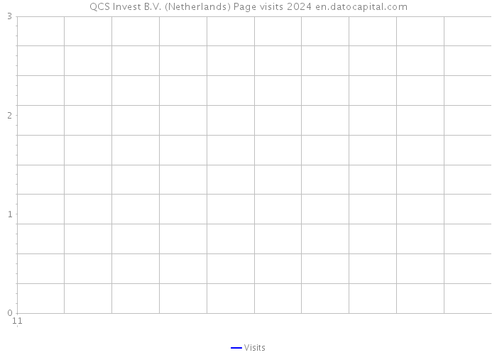 QCS Invest B.V. (Netherlands) Page visits 2024 